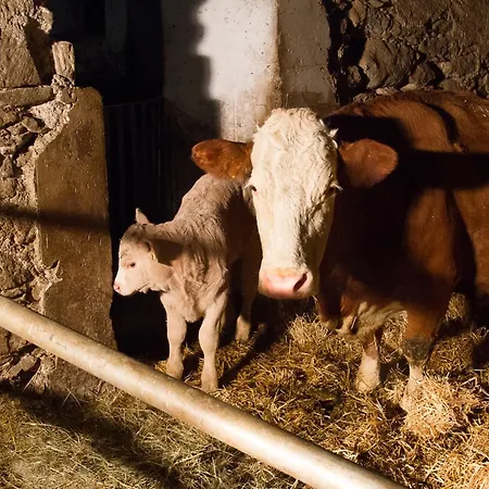 Ranacherhof Obervellach