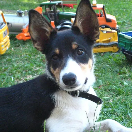 Ranacherhof Bauernhof