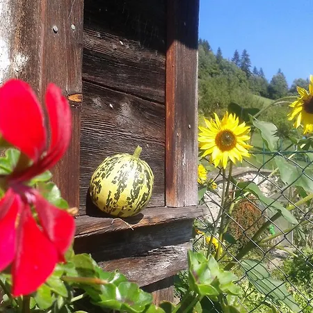 Vakantieboerderij Ranacherhof *