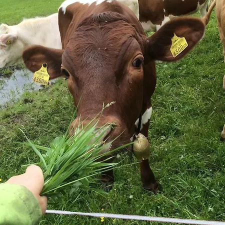 Bauernhof Ranacherhof