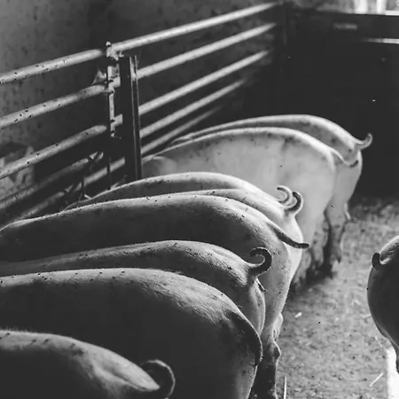 Ranacherhof Obervellach