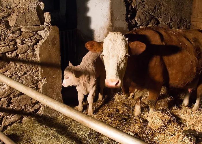 Ranacherhof Obervellach