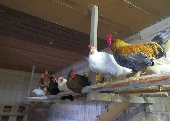 Ranacherhof Farmház *